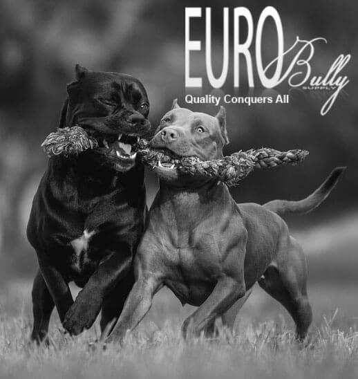 Eurobullysupply dog collars, y-harnesses, lines and supplements