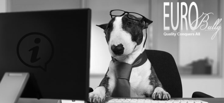 Eurobullysupply site image Title 316 Helpdesk Eurobullysupply